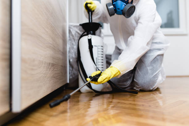 Best Wildlife Control Services  in Rainsville, AL