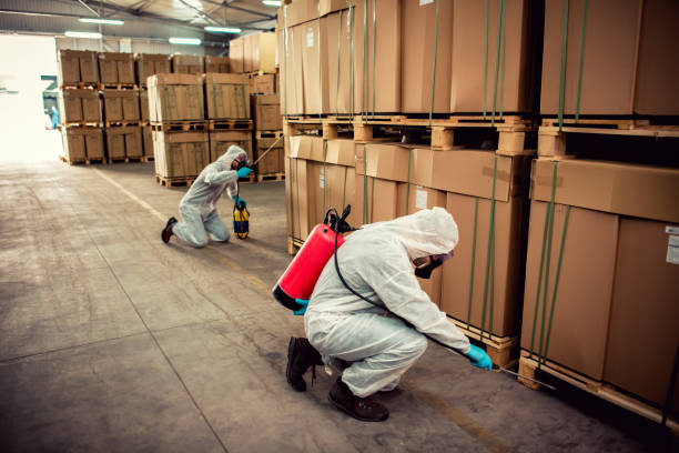 Best Rat Extermination Near Me  in Rainsville, AL