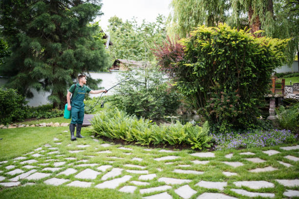 Best Wasp Removal Services  in Rainsville, AL