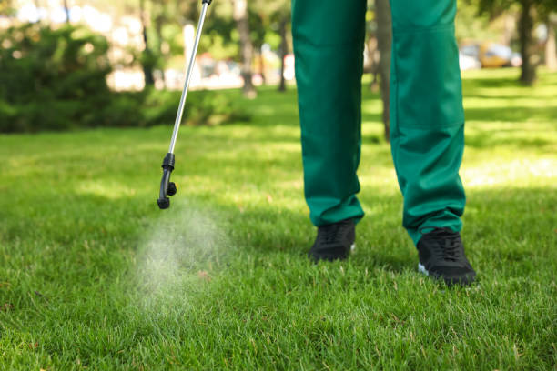 Pest Control for Restaurants in Rainsville, AL