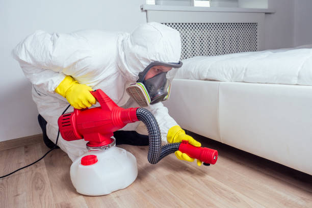 Best Residential Pest Control  in Rainsville, AL