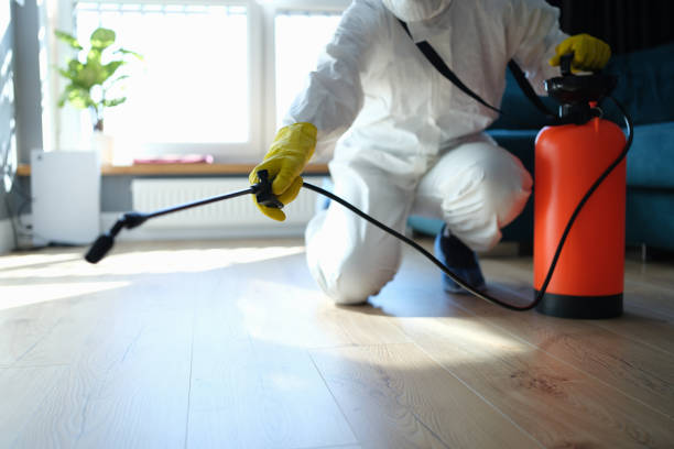 Best Pest Prevention Services  in Rainsville, AL
