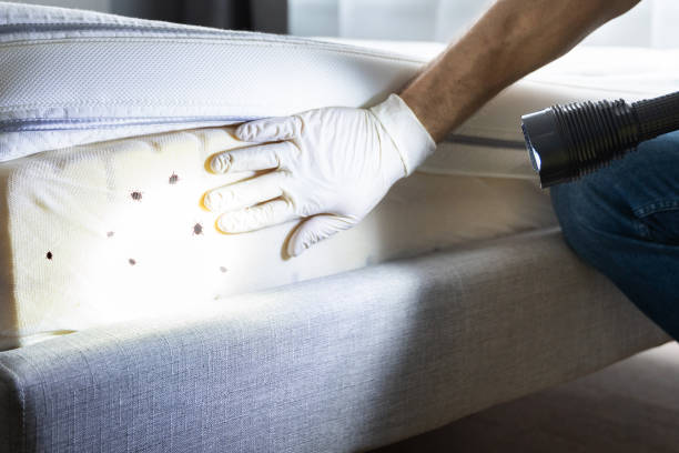 Best Best Pest Control Companies  in Rainsville, AL