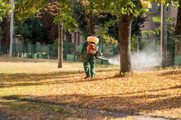 Best Termite Control Services  in Rainsville, AL