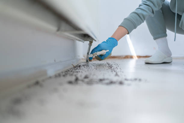 Pest Prevention Services in Rainsville, AL